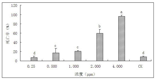 Application of pyrethrin in preventing and controlling Aleurodicus disperses Russell and pyrethrin synergistic composition