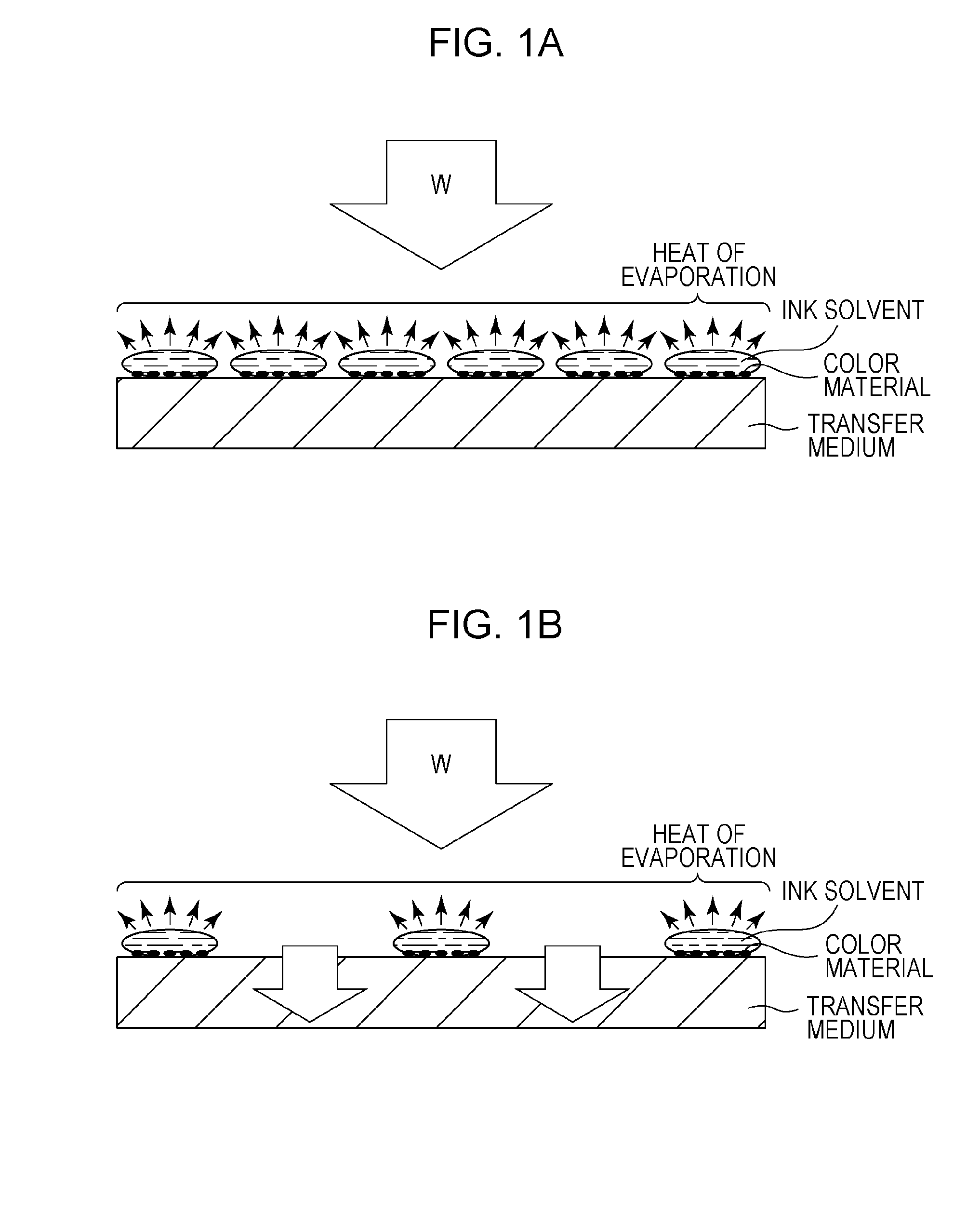 Recording apparatus