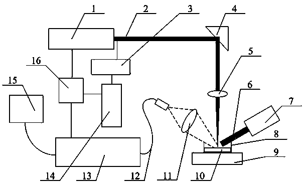 Method for quickly detecting benzopyrene content of edible oil based on collinear double-pulse LIBS (Laser-induced Breakdown Spectroscopy) technique