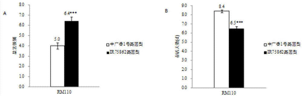 Rice seedling-stage salt-resistant gene qST2 and molecular marking method thereof