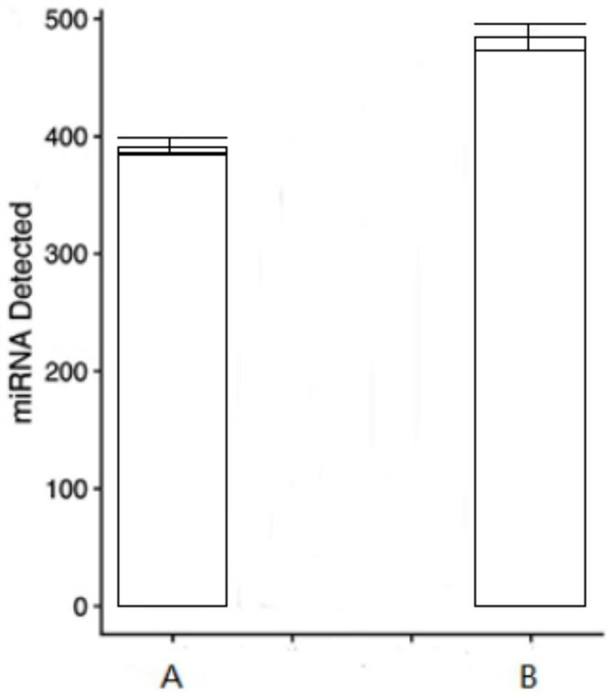 Library building method for sRNA sequencing