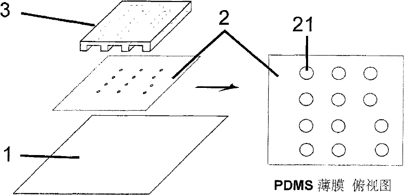 Device and method for arranging a plurality of cells at same plane and controlling cells