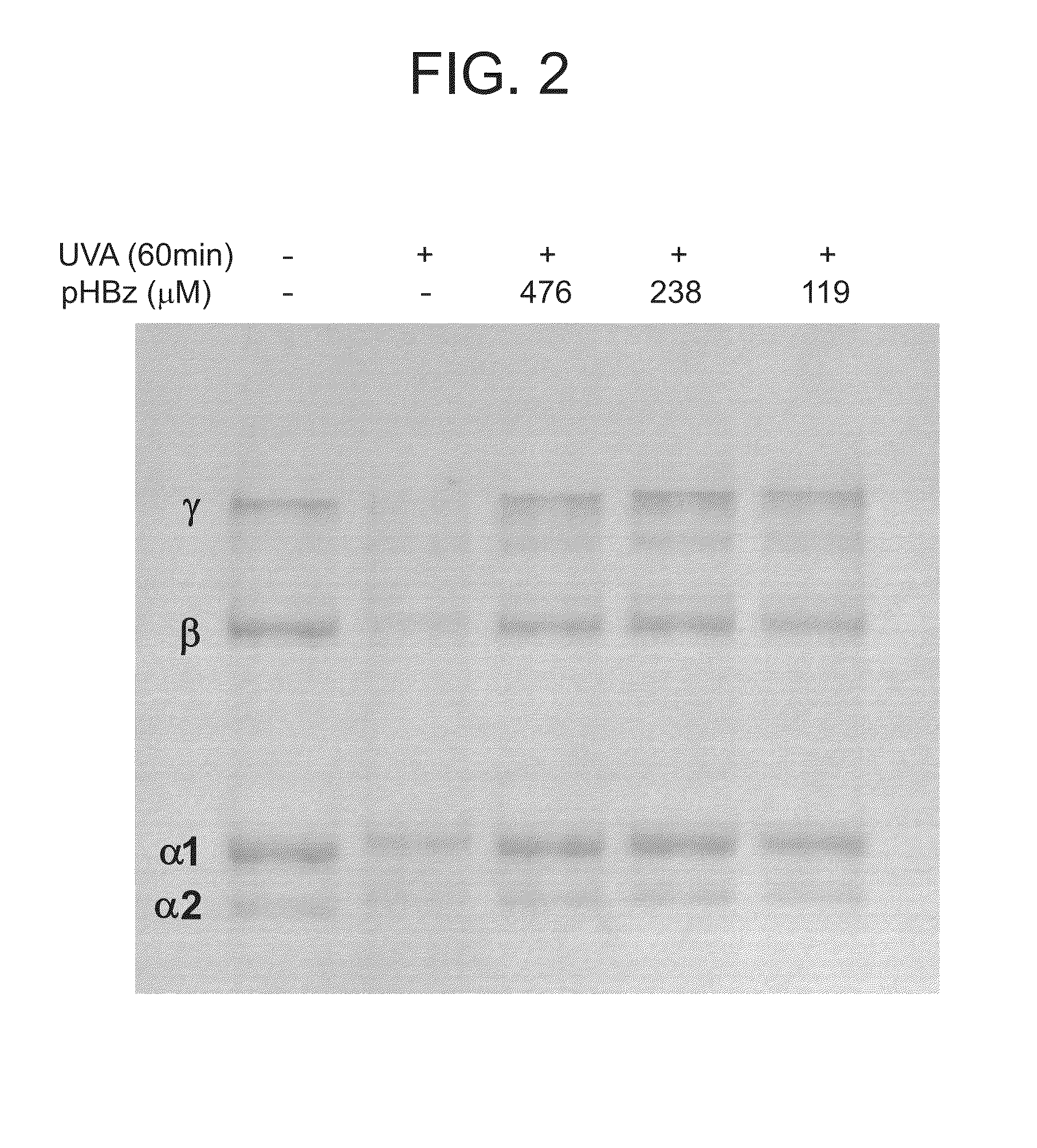 Nitrone compounds and their use in personal care