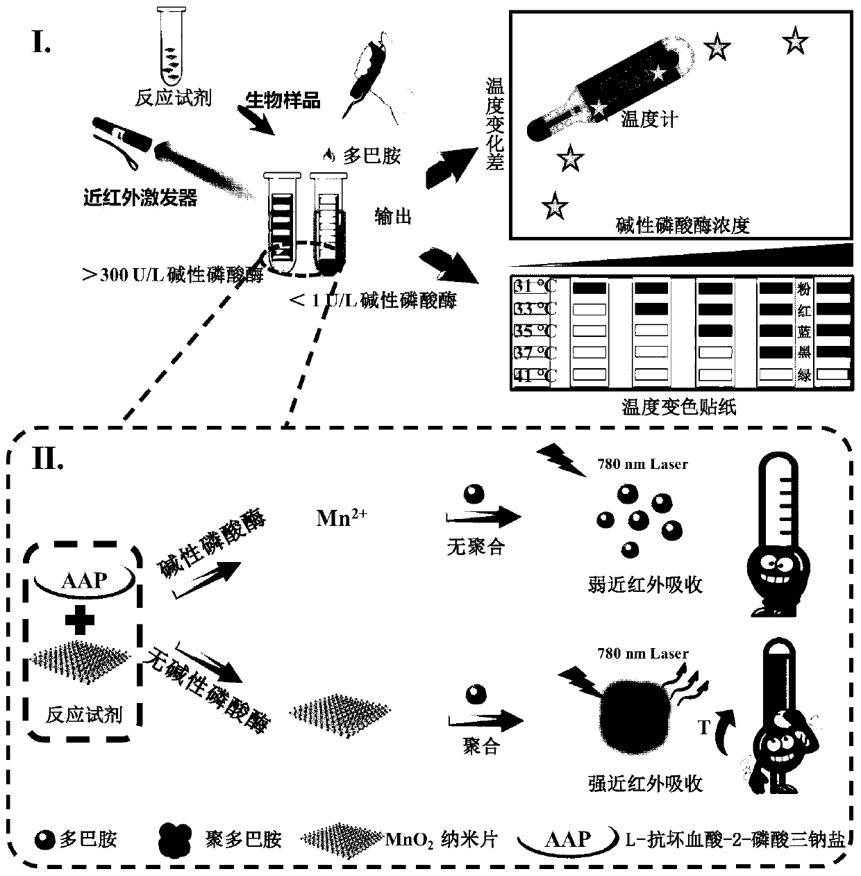 Portable detection kit for alkaline phosphatase based on temperature change and its application