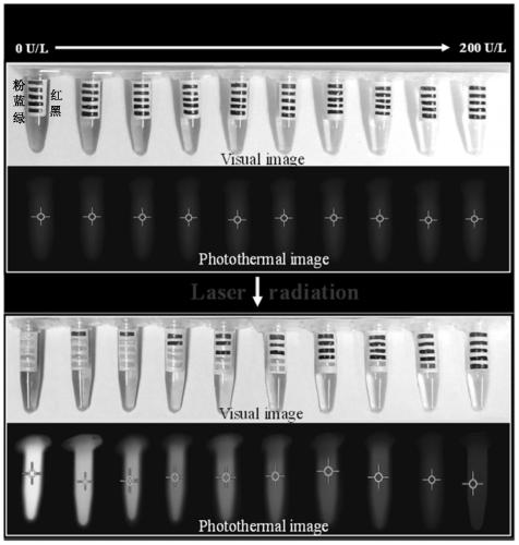 Portable detection kit for alkaline phosphatase based on temperature change and its application