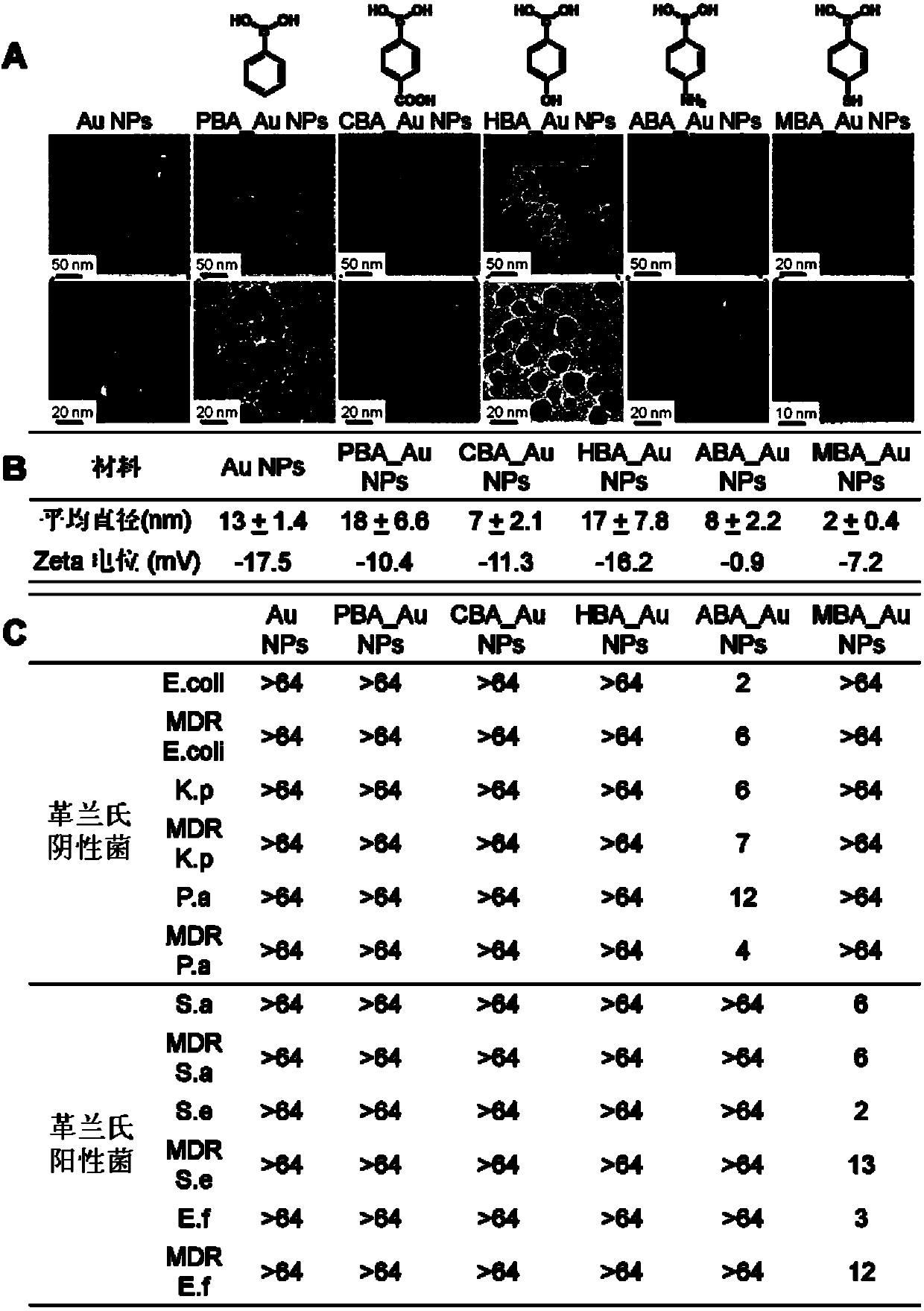 Gold nanoparticle with Gram selectivity and modified with phenylboronic acid and derivatives of phenylboronic acid and preparation method and application of gold nanoparticle