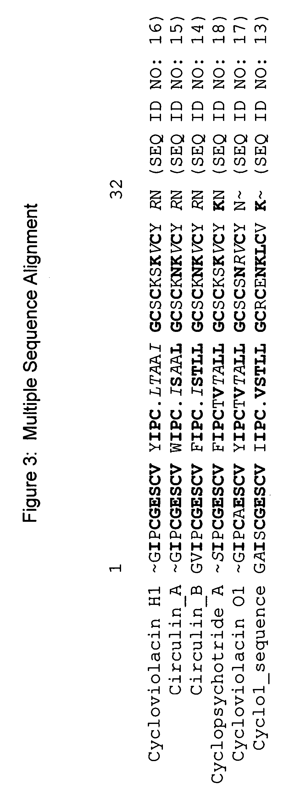 Maize Cyclo1 gene and promoter