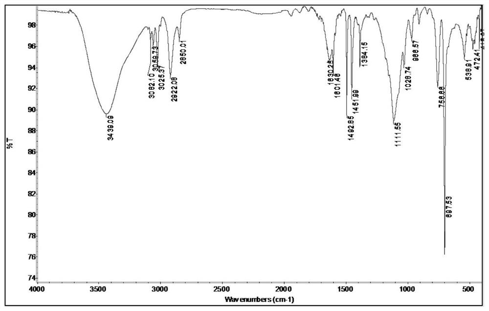 Nano composite ion exchange resin catalyst and application thereof