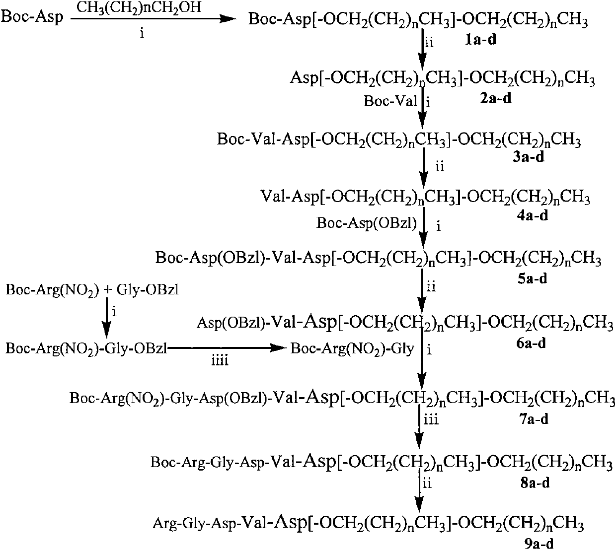 Conjugate formed by conjugating one Arg-Gly-Asp-Val chain and two fatty alcohol chains by Asp, synthesis thereof and medical application thereof