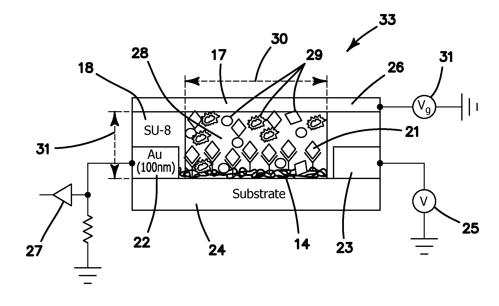 Carbon nanotube biofet with a local amplifier in a system array for analysis of biomarkers and method of analysis of same