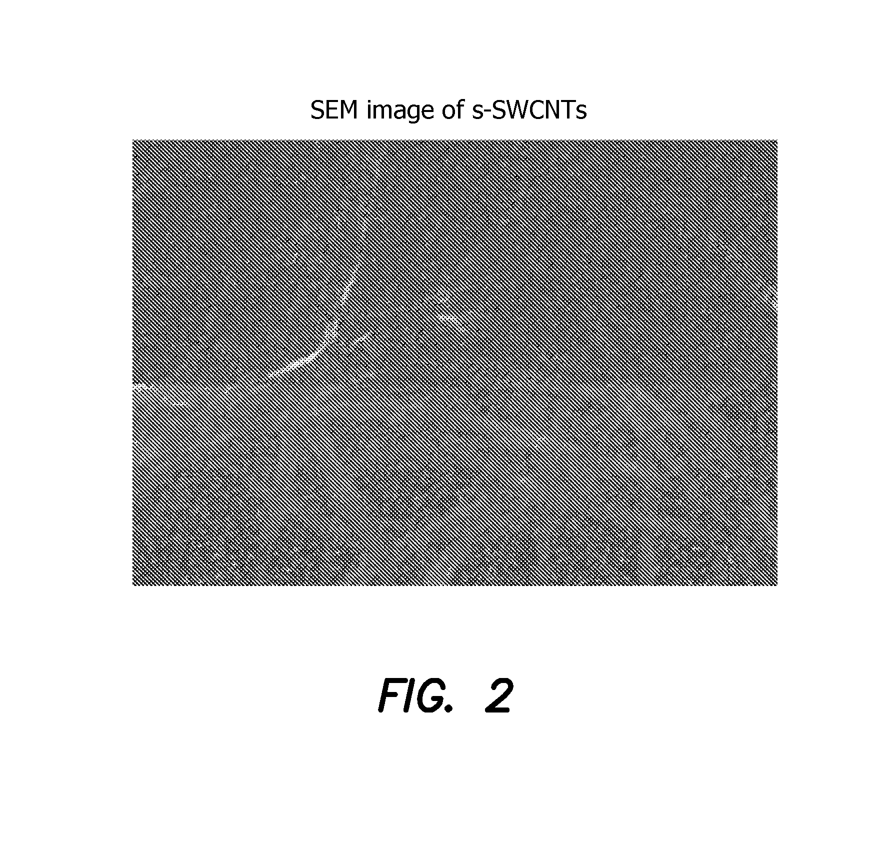 Carbon nanotube biofet with a local amplifier in a system array for analysis of biomarkers and method of analysis of same