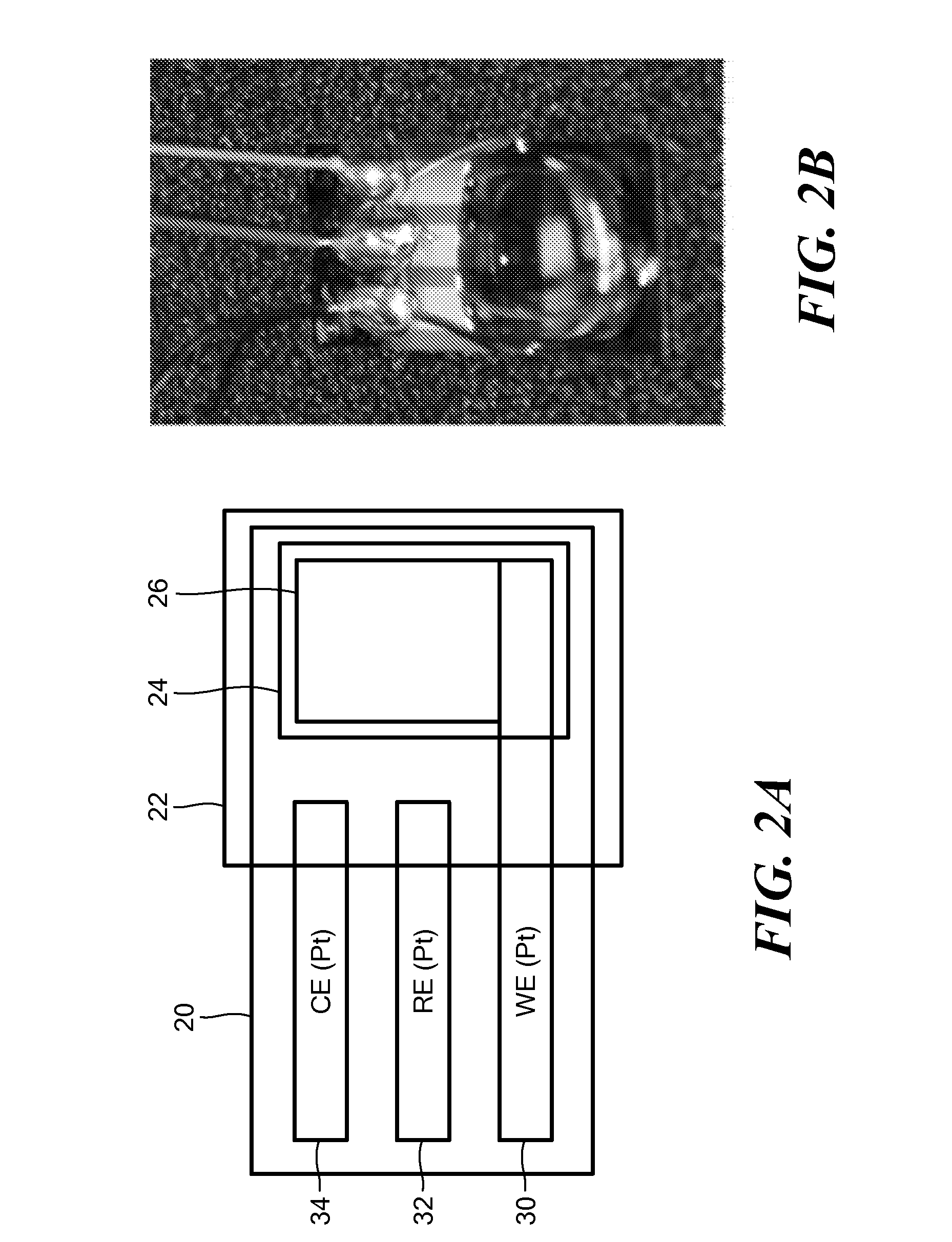 Saliva Glucose Monitoring System