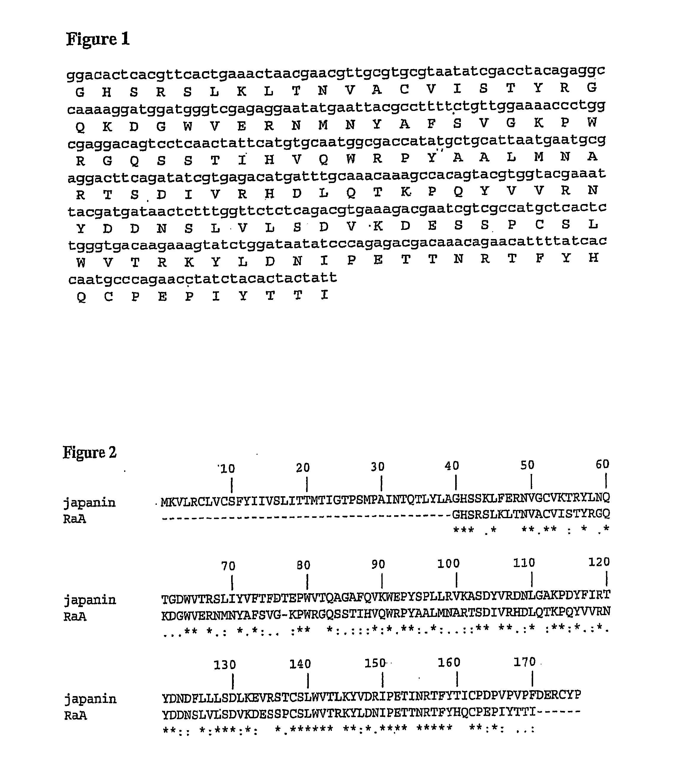 Dendritic cell inhibitory proteins from ticks