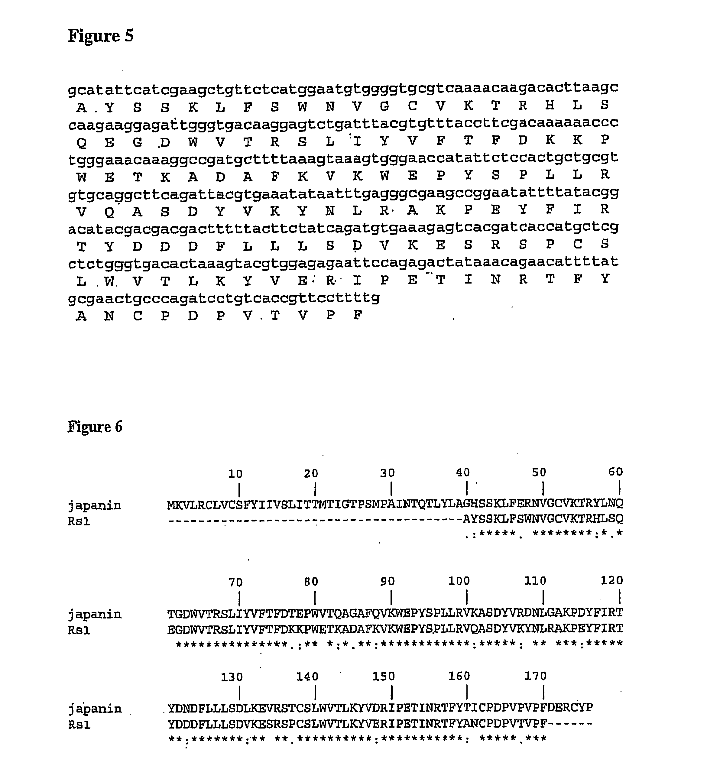 Dendritic cell inhibitory proteins from ticks