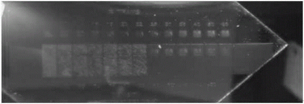 Colored photosensitive resin composition color filter and image display device produced using the same