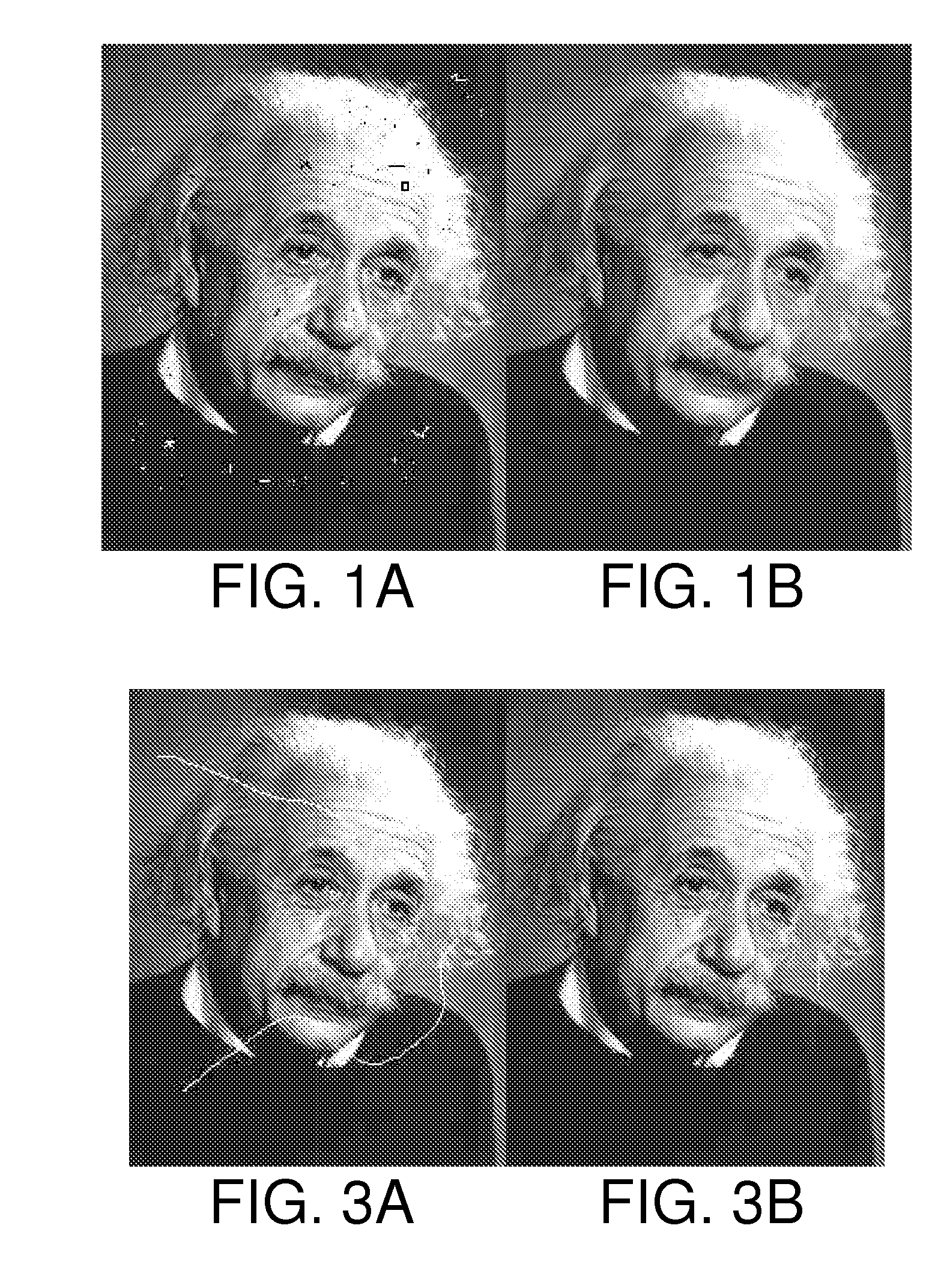 Topology-Based Method of Partition, Analysis, and Simplification of Dynamical Images and its Applications