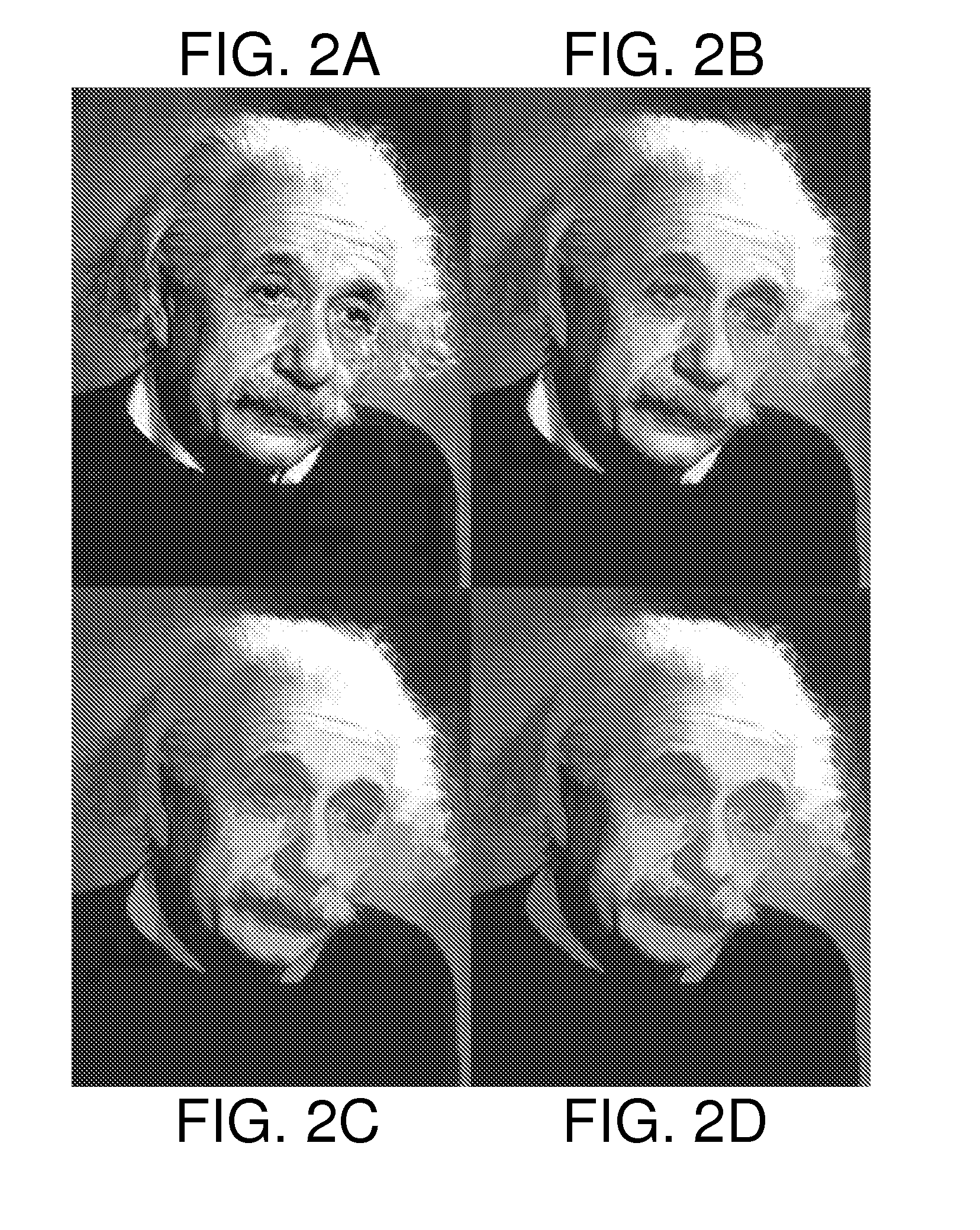 Topology-Based Method of Partition, Analysis, and Simplification of Dynamical Images and its Applications