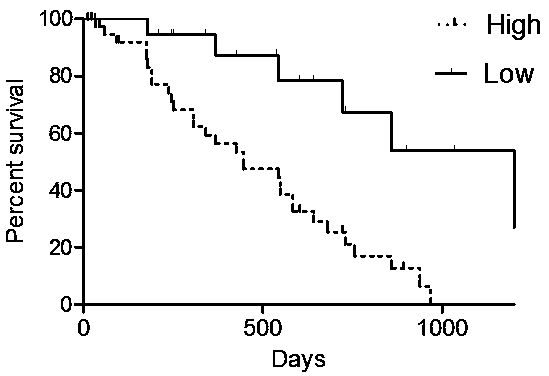 Biomarker long-chain non-coding RNA LINC02447 and kit for predicting prognosis of colon cancer