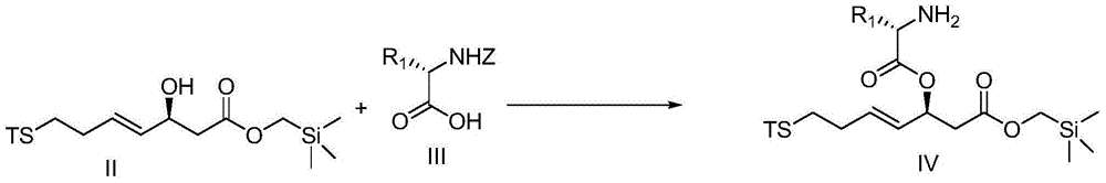 Cyclic peptide compounds and application thereof