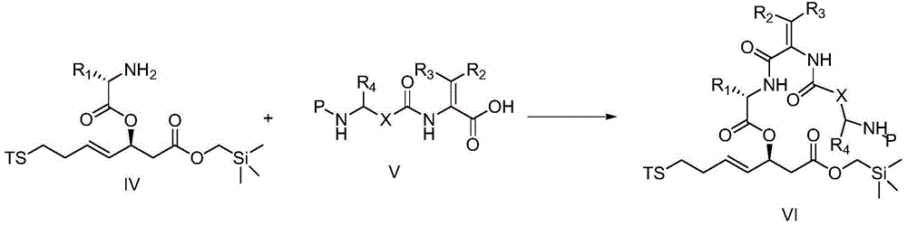 Cyclic peptide compounds and application thereof