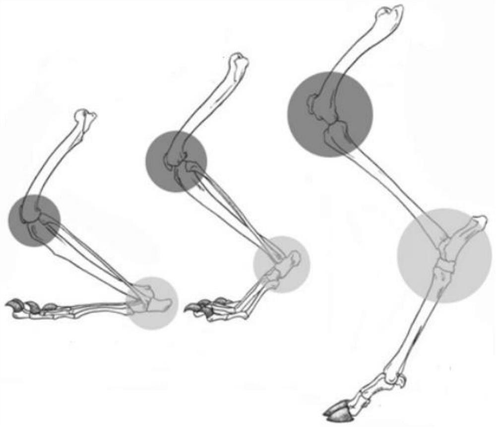 Bionic biped robot and stable gait planning method thereof