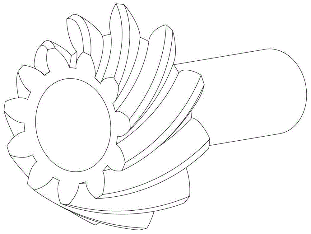 A precision forging device and method for a spiral bevel gear