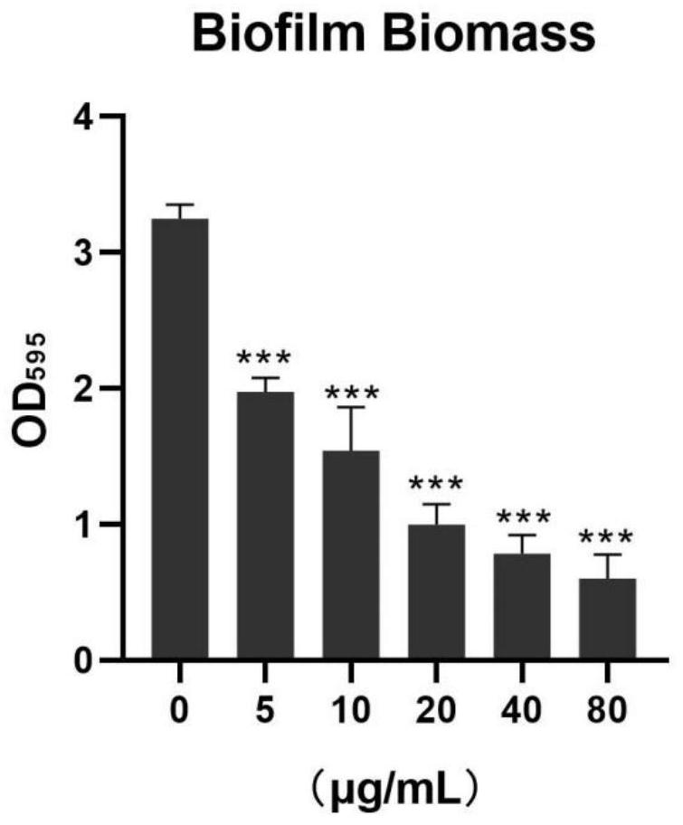 Application of 2-substituted anthraquinone derivative to preparation of medicine for treatment of candida albicans infection