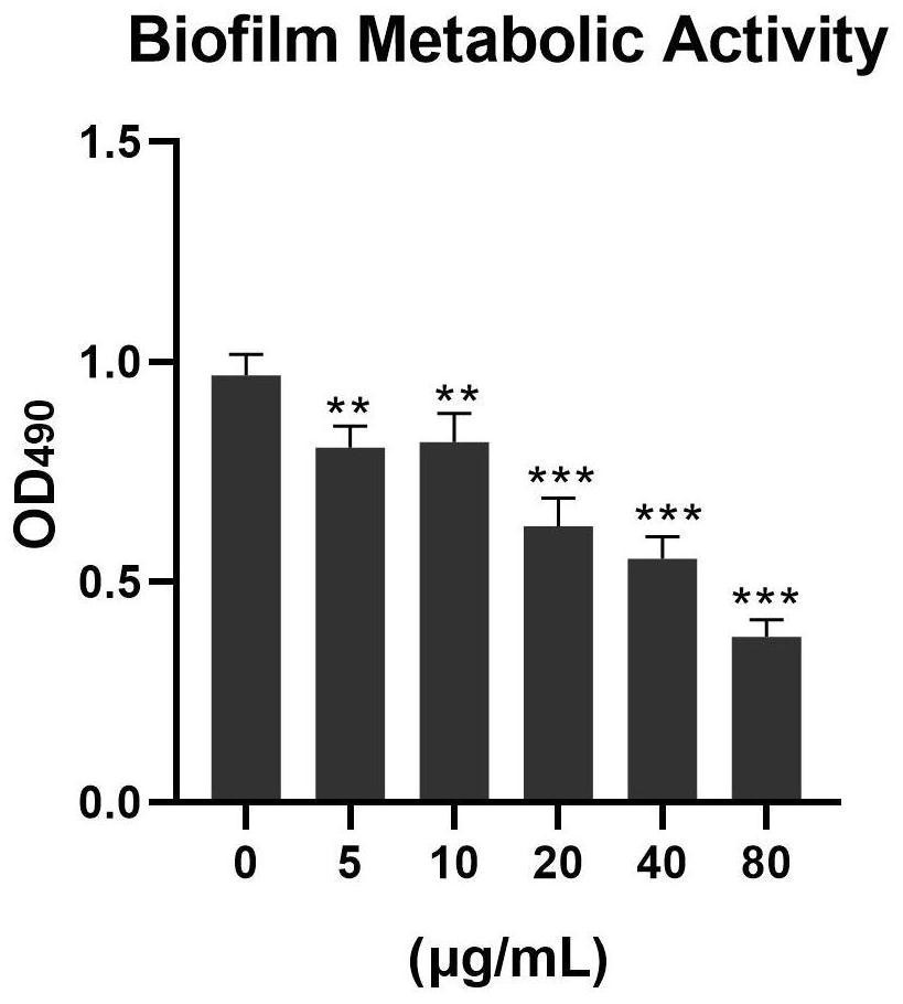 Application of 2-substituted anthraquinone derivative to preparation of medicine for treatment of candida albicans infection