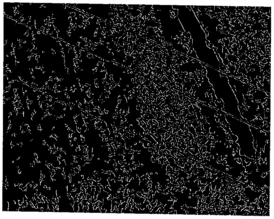 Power transmission line detection method under complex background based on image processing