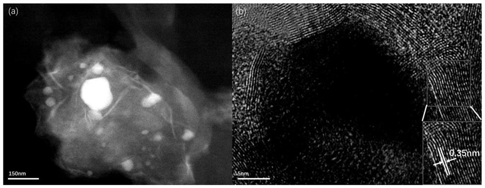 A preparation method of iron@bcn ceramics for photocatalytic hydrogen production