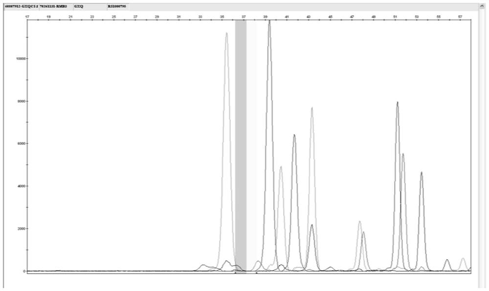 A kit and application for detecting SNP sites of genes related to calcium demand