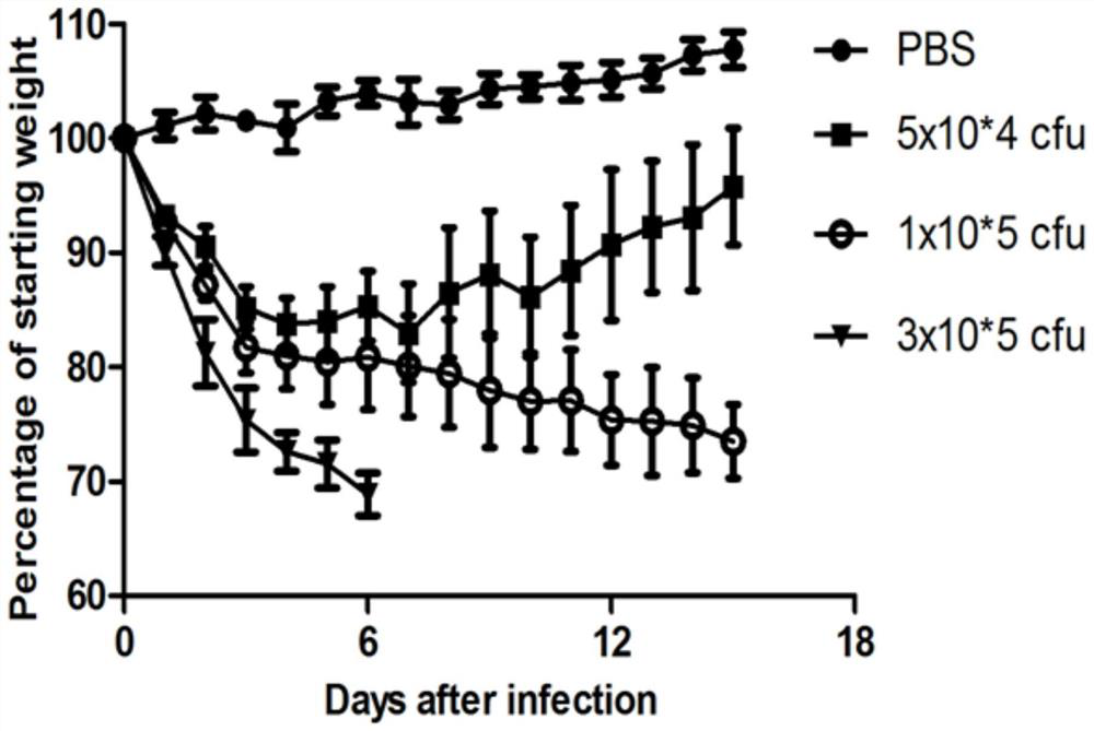 Use of cxcl13 as a biomarker in diagnostic reagents