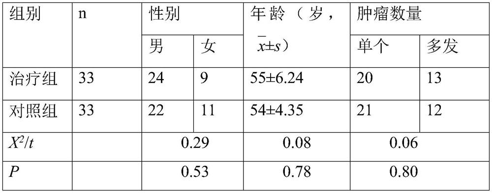 Application of horse angelica liquid and gemcitabine in preparation of medicine for treating cancer