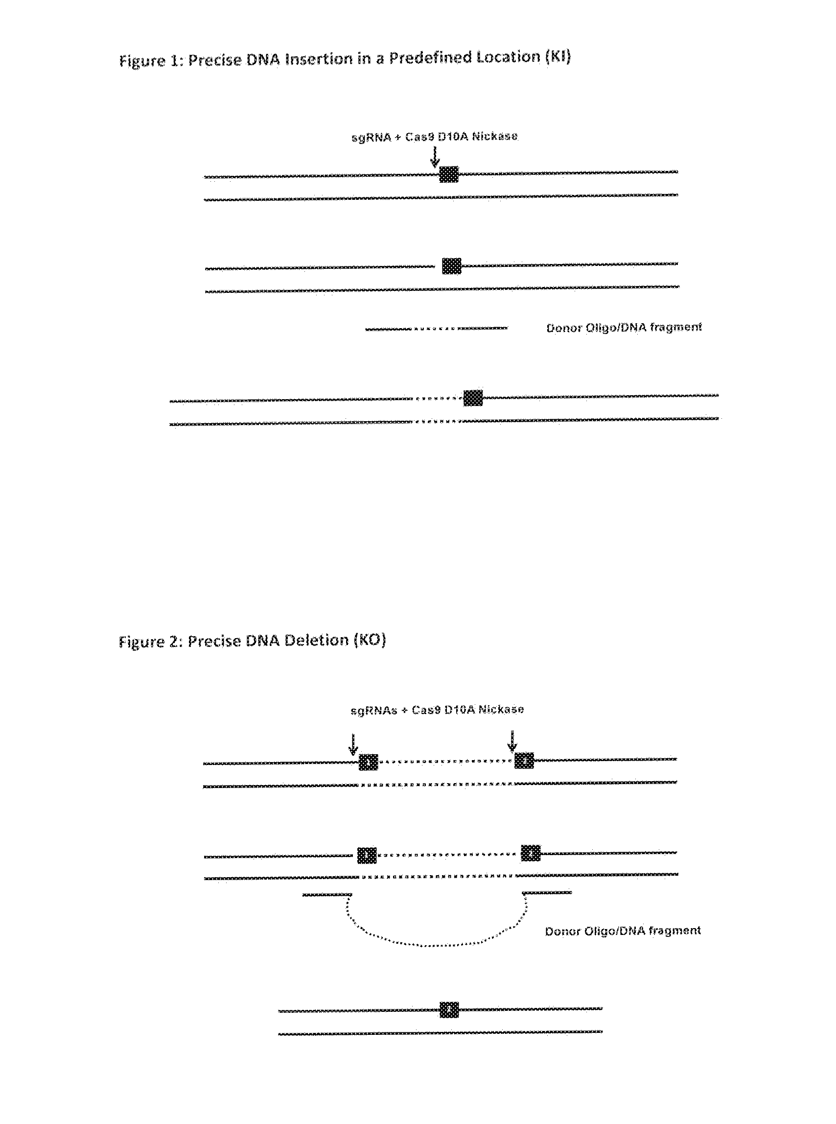 Methods, Cells & Organisms