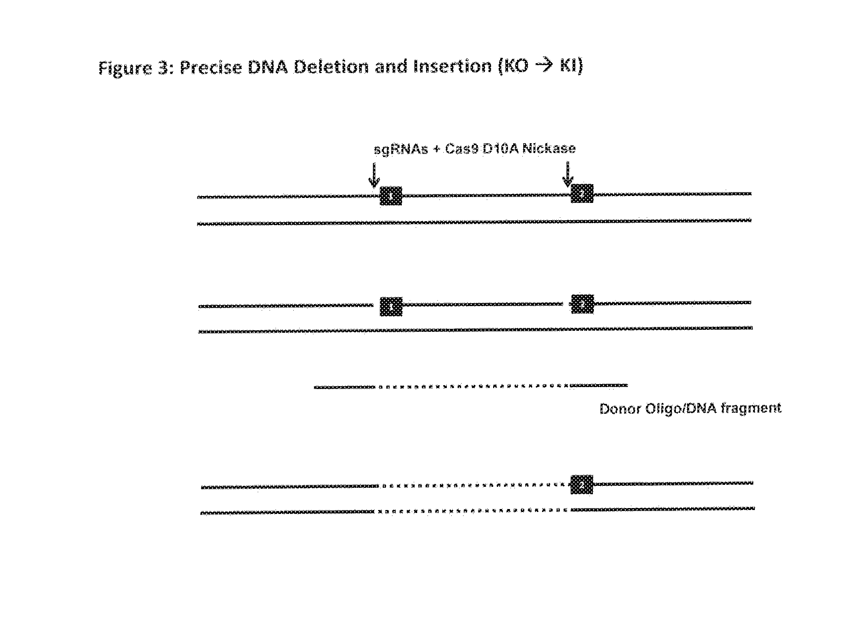 Methods, Cells & Organisms