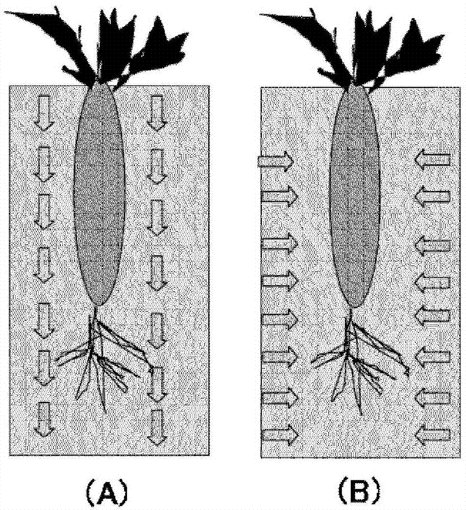 Plant cultivation method, and cultivation container and cultivation device used therefor