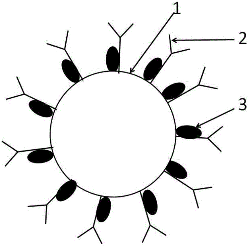 Immunochromatographic quantitative detection reagent based on near-infrared fluorescent nanosphere markers