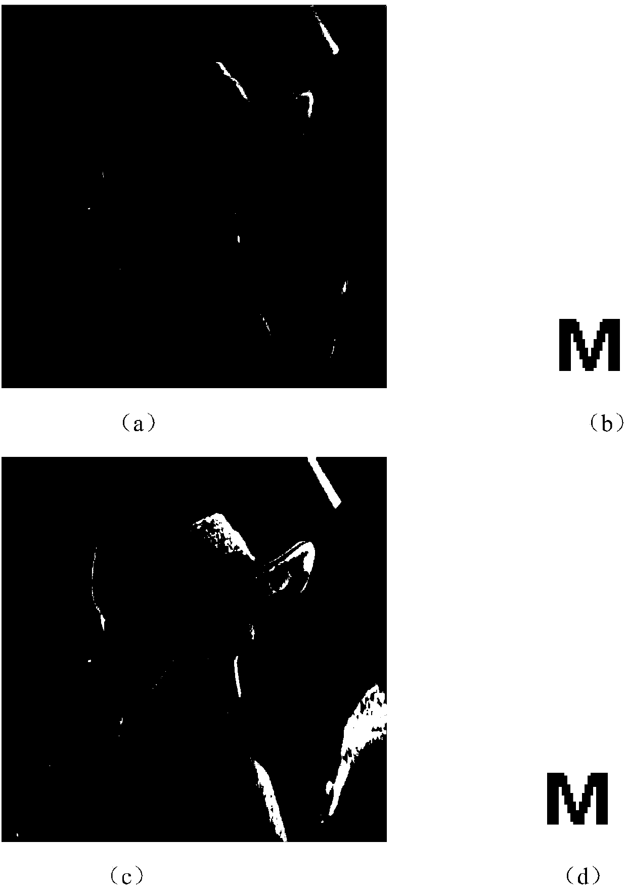 Compressive-sensing-based digital image watermark embedding and extraction method