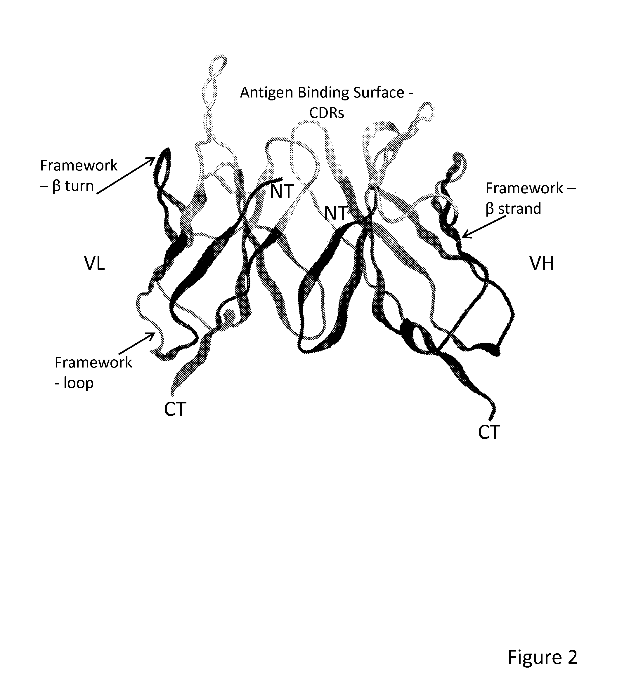 Method of correlated mutational analysis to improve therapeutic antibodies