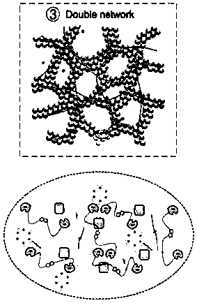 Double-network structure composite hydrogel as well as preparation method and application thereof