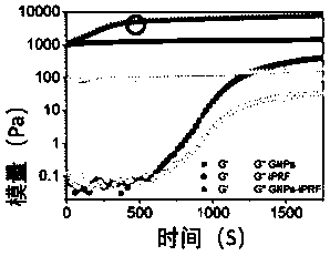 Double-network structure composite hydrogel as well as preparation method and application thereof