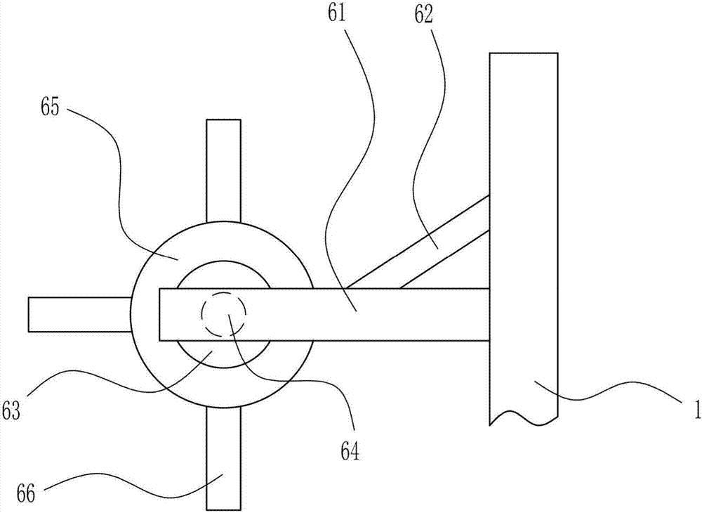 Screening equipment for melon seed processing