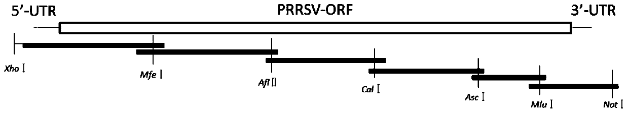 A highly pathogenic porcine reproductive and respiratory syndrome marker vaccine and its serological identification method