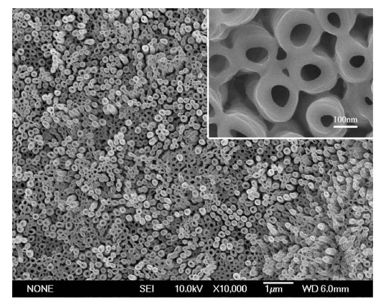 Nano composite material based on titanium metal surface and preparation method thereof