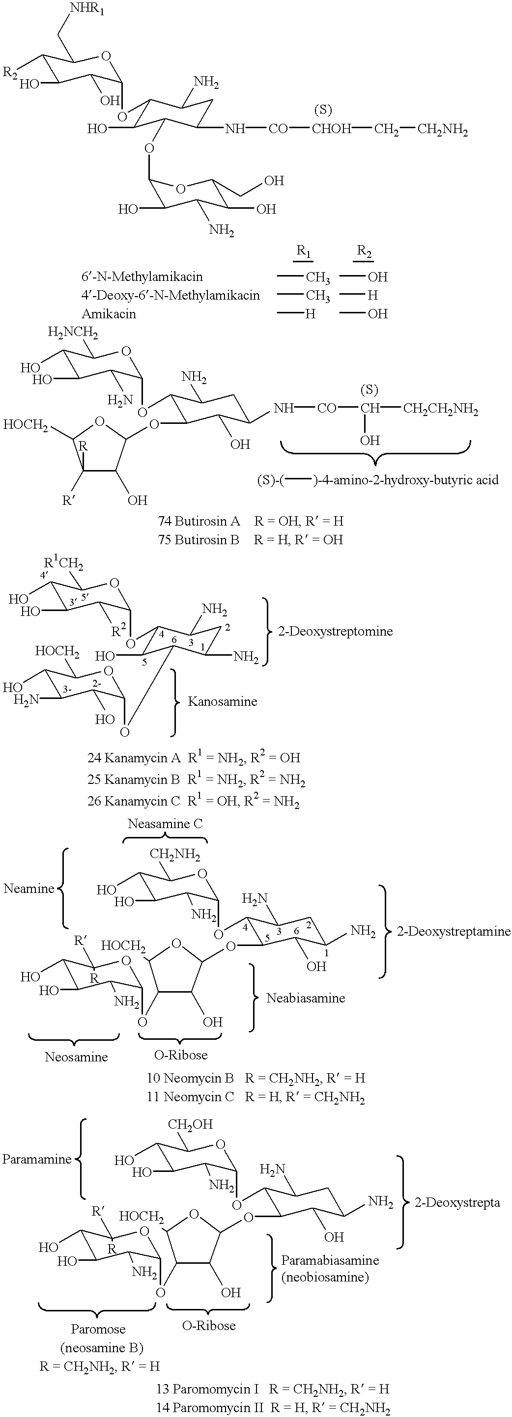 Methods and compositions for targeting DNA metabolic processes using aminoglycoside derivatives