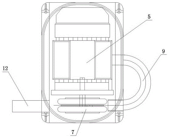 Eel slaughter machine