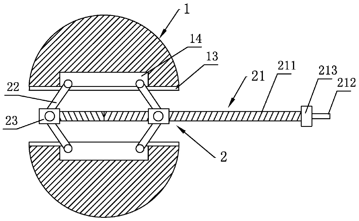 Adjustable conjunctival sac expander and method for expanding conjunctival sac through adjustable conjunctival sac expander