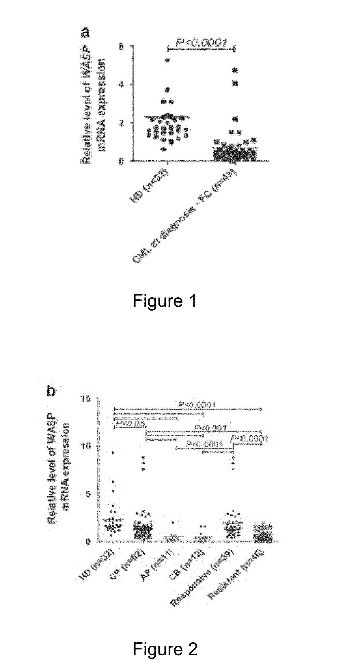 Use Of Wiskott-Aldrich Syndrome Protein (WASP) As A Biological Marker And In Vitro Method For Monitoring The Progression Of A Hematological Disease