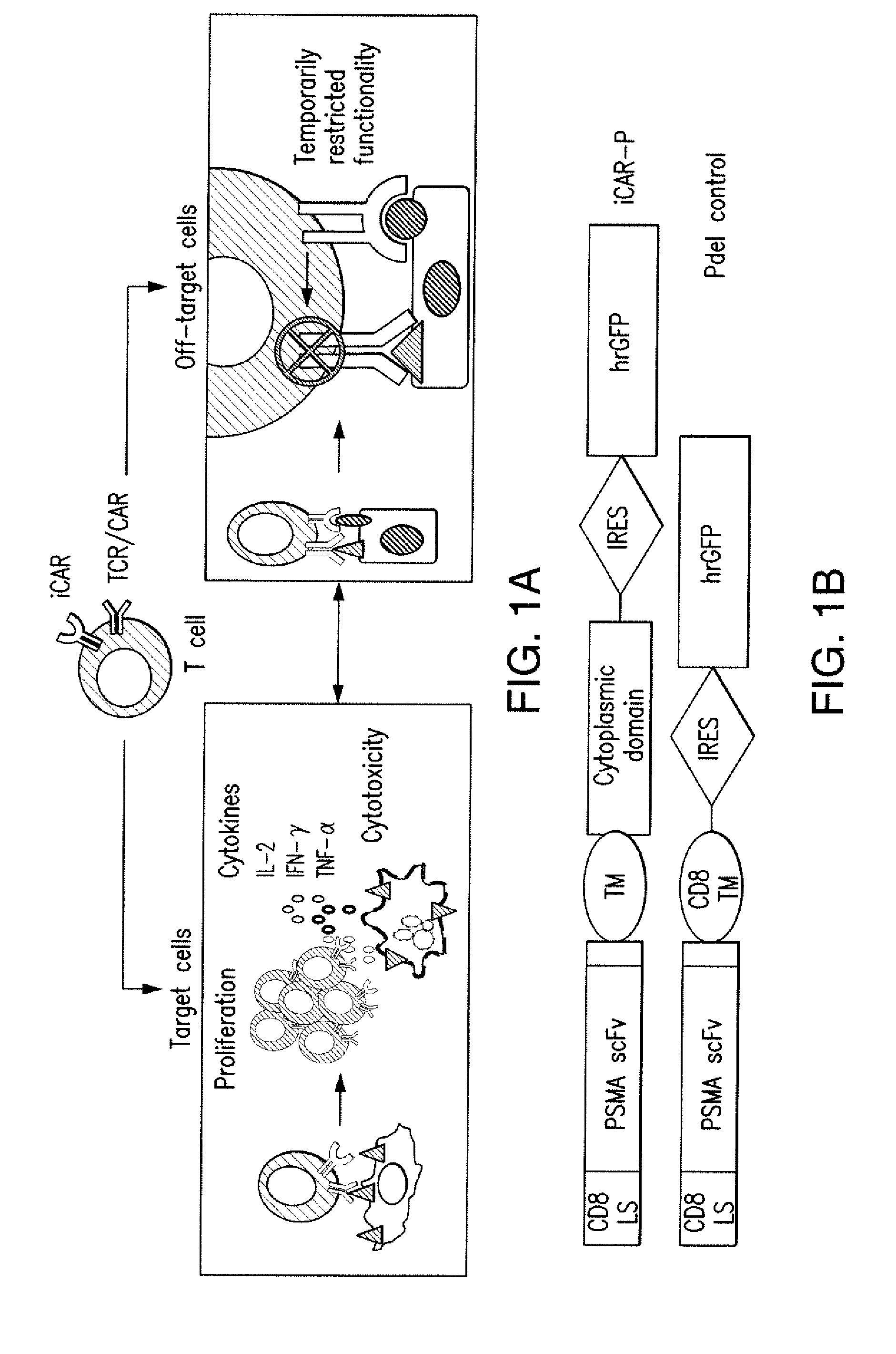 Compositions and methods for immunotherapy