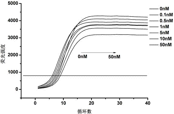 Method for detecting lead ions based on combination of fluorescence quantitative PCR (polymerase chain reaction) and nuclease GR-5